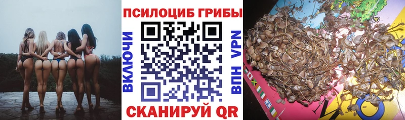 Галлюциногенные грибы Cubensis  купить наркоту  Нижний Ломов 